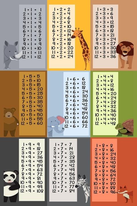 فرش جدول ضرب 1