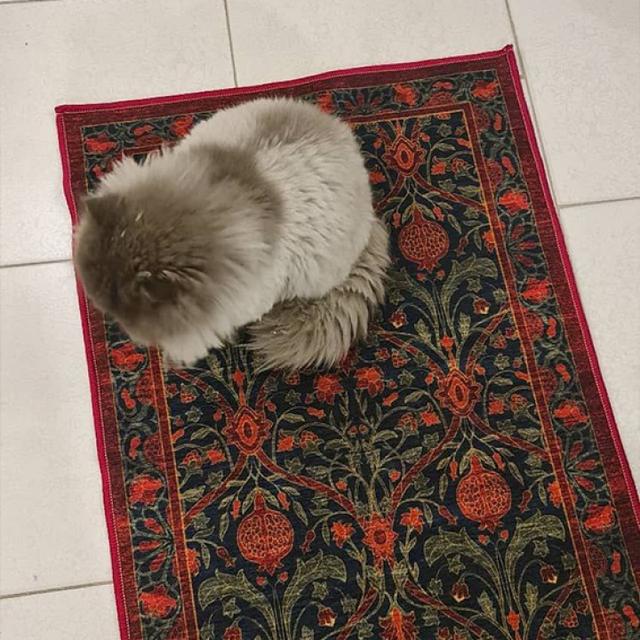 عکس فرش انار