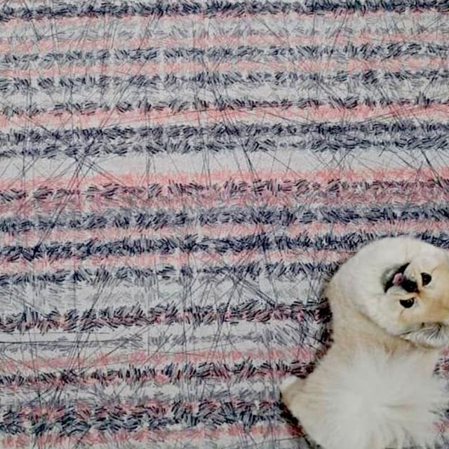 عکس فرش بنیسا