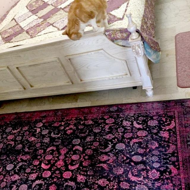 عکس فرش آوینا