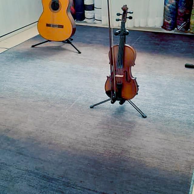 عکس فرش پارمیس