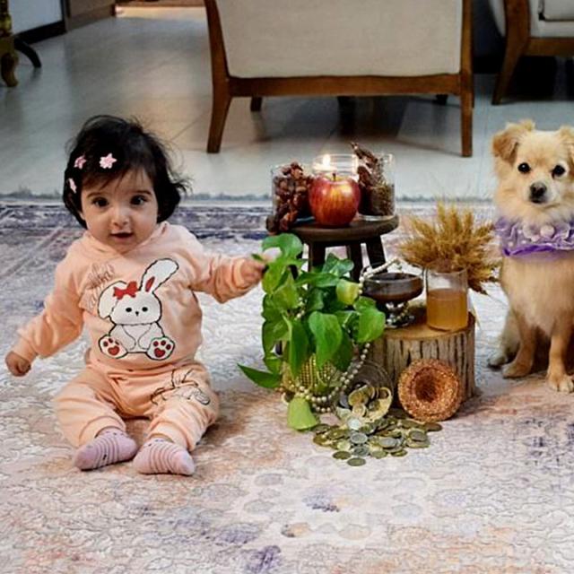 عکس فرش جولیا