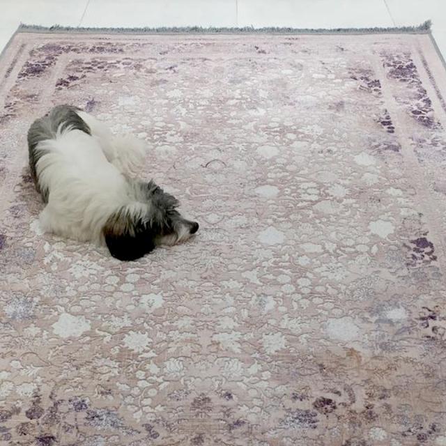 عکس فرش سیلوانا