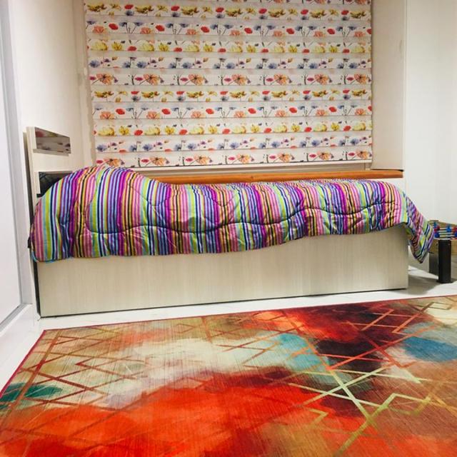 عکس فرش هاله