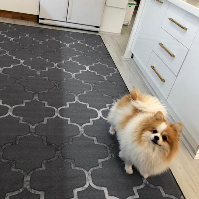 عکس فرش راحیل