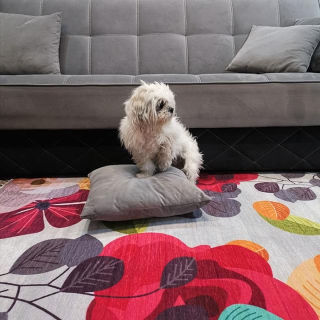 عکس فرش لیانا