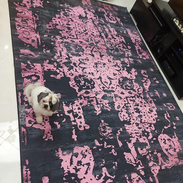 عکس فرش نگین