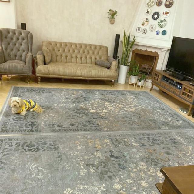 عکس فرش دلوان