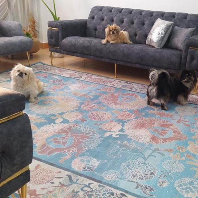 عکس فرش بهشت