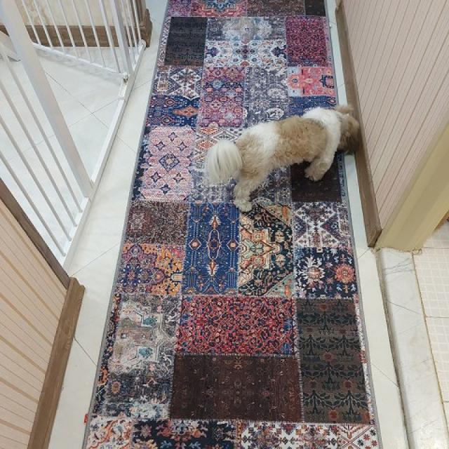 عکس فرش روناک