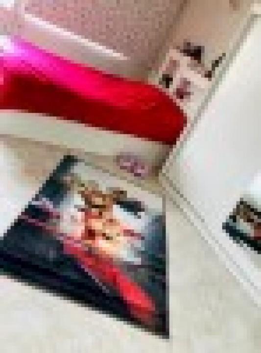 عکس فرش سنجاب ها