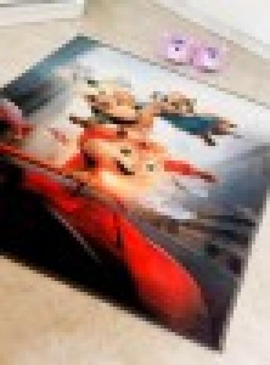 عکس فرش سنجاب ها