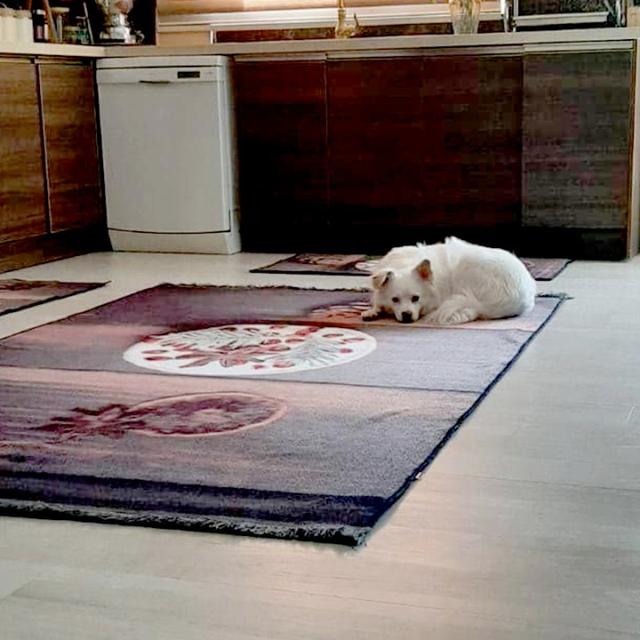 عکس فرش کابانا